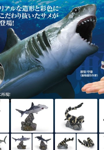 生物大图鉴 迷你系列 鲨鱼 | Hpoi手办维基