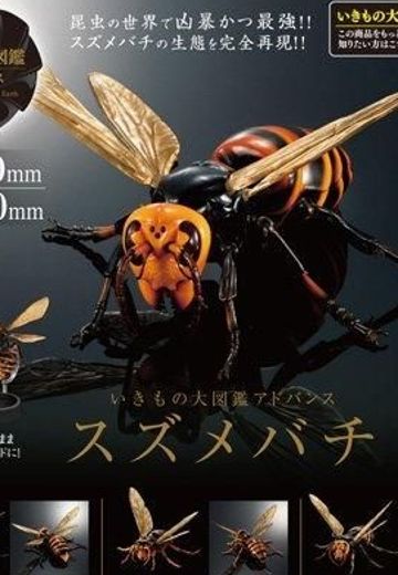 进化生物大图鉴 胡蜂亚种 | Hpoi手办维基