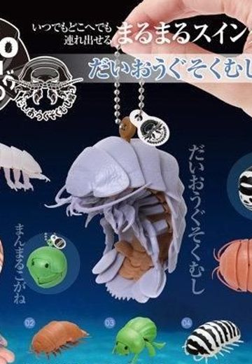 生物大图鉴 鼠妇 球形挂件 大王具足虫 | Hpoi手办维基