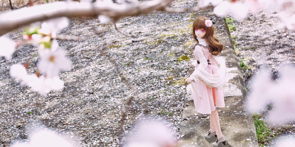 桜満開の神田川&勝沼で撮影してきたよ🌸