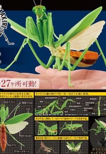 生物大图鉴 螳螂 | Hpoi手办维基