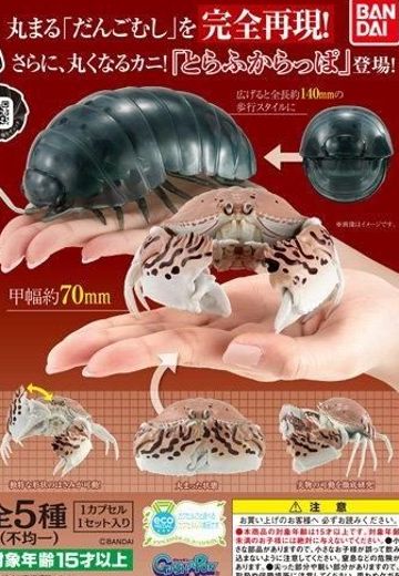 生物大图鉴 6 鼠妇 与 卷折馒头蟹 | Hpoi手办维基