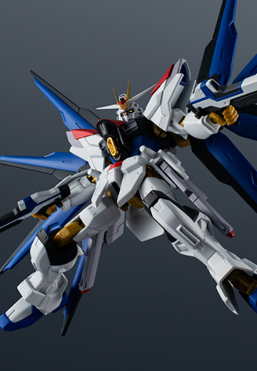 高达宇宙  ZGMF/A-262B 强袭自由高达二式