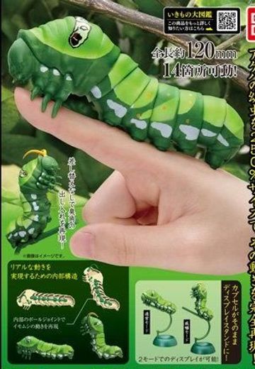 生物大图鉴 毛虫 | Hpoi手办维基