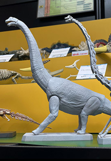 恐龙拼装模型 腕龙
