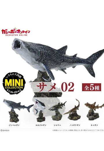 生物大图鉴 迷你系列 鲨鱼02