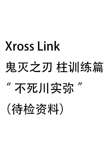 Xross Link 鬼灭之刃 柱训练篇“不死川实弥”（待检资料）