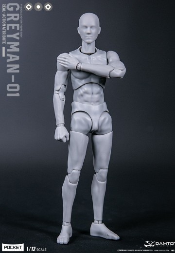DAMTOYS 1/12 可动人形 “灰人”-NO.DPS11