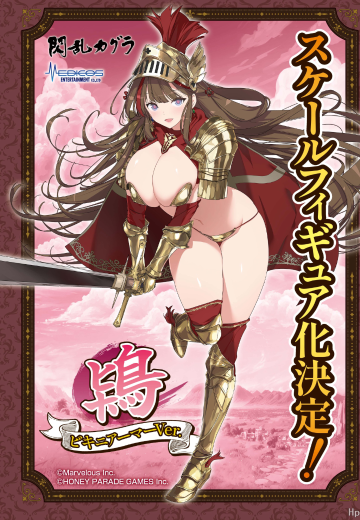忍者大师 闪乱神乐 NEW LINK 鸨 比基尼盔甲