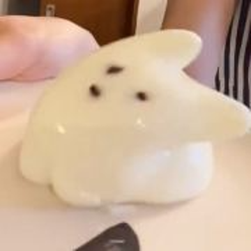 艺能人小藻