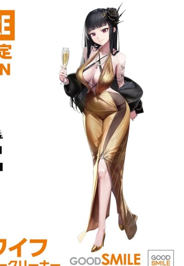 胜利女神：新的希望 D：杀手妻子 秘密派对清洁工 | Hpoi手办维基