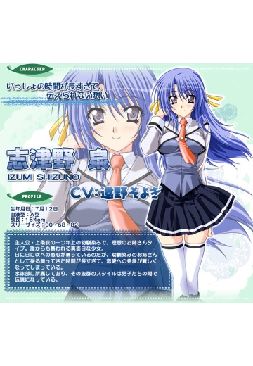 志津野泉
