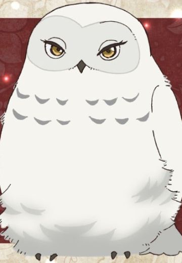雪鸮