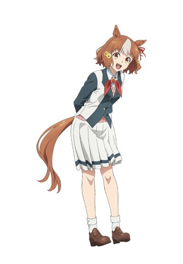 双铃莱特
