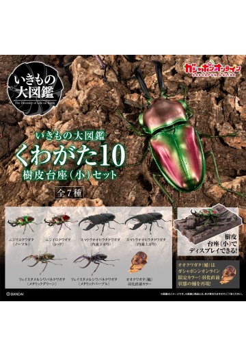 生物大图鉴 锹甲10 树皮底座（小号）套装 | Hpoi手办维基