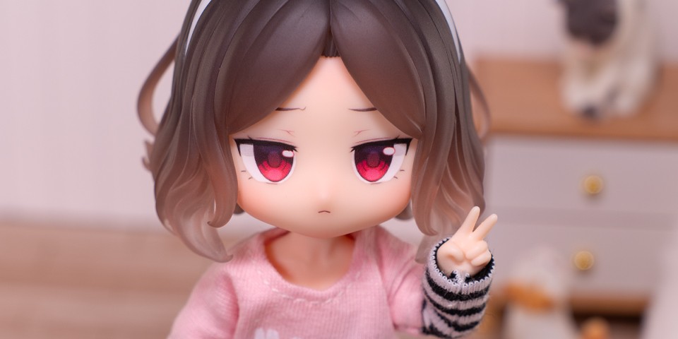 家里新来的小猫不太听话怎么办？🐱