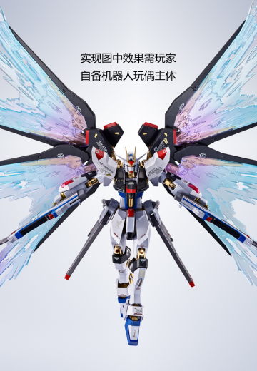 METAL ROBOT魂 ＜机动战士系列＞ 强袭自由高达［Re:Coordinate］专用光之翼与高速火力全开特效配件包
