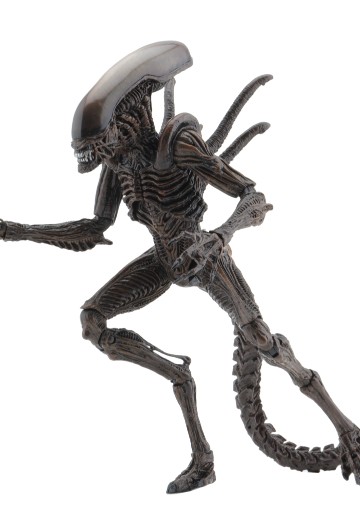 NECA 异形 - 7 英寸比例可动人偶 - 第 14 系列 - 异形复活战士 | Hpoi手办维基