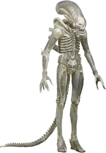 NECA 异形 1/4 比例半透明概念原型套装 动作人偶 | Hpoi手办维基