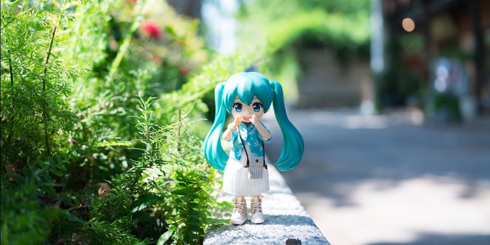 夏日来袭