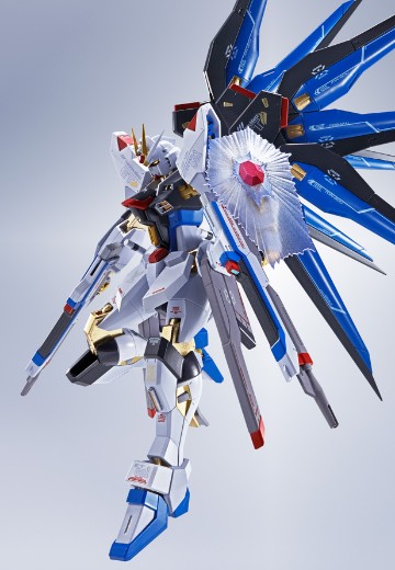 METAL ROBOT魂 ＜机动战士系列＞ 强袭自由高达 [Re:Coordinate]