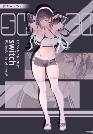 Switch | Hpoi手办维基