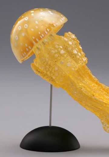 水上精灵 #2-003 章鱼水母 | Hpoi手办维基