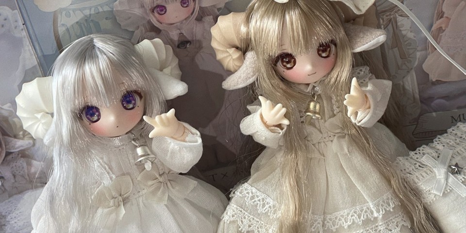 💤🐏