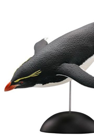 水上精灵#1-004 跳岩企鹅 | Hpoi手办维基