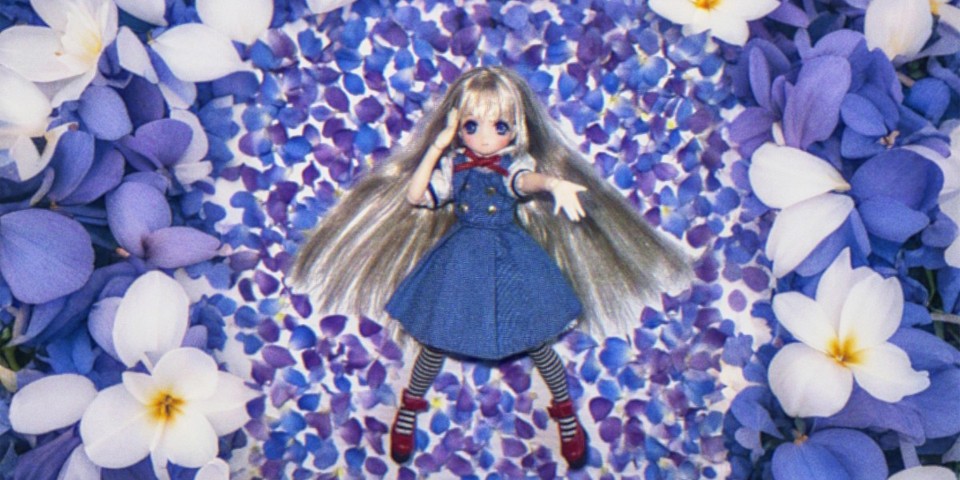 花丛姬乃