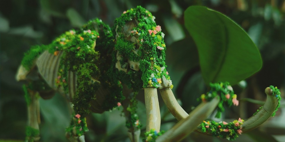 万代 Exploring Lab Nature 猛犸象骨架