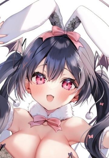 蕾丝兔女郎小恶魔 莉雅丝 | Hpoi手办维基