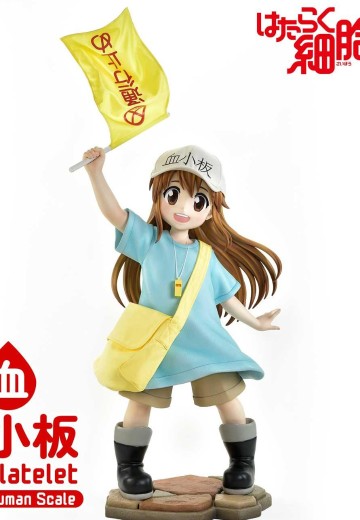 真人比例主线 工作细胞 血小板 | Hpoi手办维基