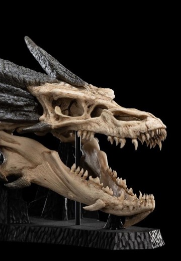 霍比特人 史矛革巨龙头骨 | Hpoi手办维基