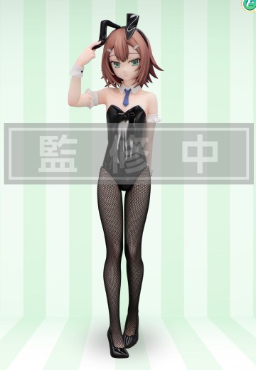 BiCute Bunnies 笨蛋，测验，召唤兽 木下秀吉