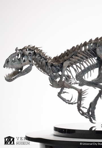 暴虐霸王龙骨架 青铜模型 1/12比例