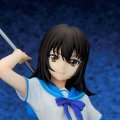 Strike the Blood  姬柊雪菜