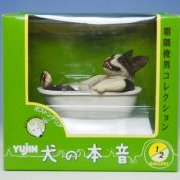 朝隈俊男コレクション 犬の本音 ボストンテリア 