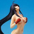 一骑当千 Dragon Destiny 关羽云长（水着） 未涂装