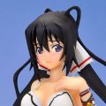 沙滩女王  IS〈无限斯特拉托斯〉 筱之之帚 泳装