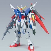 1/100 命运高达