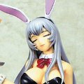 一騎当千 XTREME XECUTOR 趙雲子龍 バニーver.