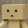 四叶妹妹 ToKoToKo DANBOARD