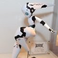 ファイアボール チャーミング 多罗丝赛露・フォン・FuRyuゲル 
