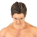 プロ格ヒーローズF 新日本プロレスリング オカダ・カズチカ 