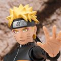 S.H.Figuarts  漩涡鸣人 仙人模式