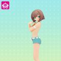 Extra Figure 笨蛋测试召唤兽 木下秀吉 Poolside ver. 