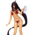 一騎当千 Dragon Destiny 関羽雲長 泳装Ver. Miyazawa Limited Edition Red 