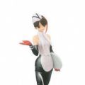 DX手办 假面骑士电王 ナオミ