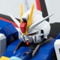 ROBOT魂〈SIDE MS〉机动战士高达SEED DESTINY ZGMF-X56S/α 空战型脉冲高达